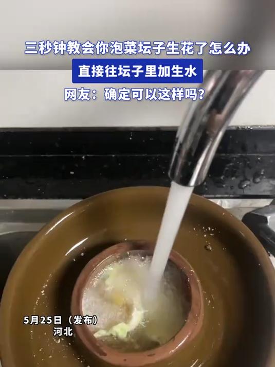 三秒钟教会你泡菜坛子生花了怎么办,直接往坛子里加生水