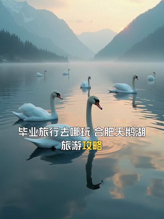 合肥天鹅湖：城市绿洲的宁静体验