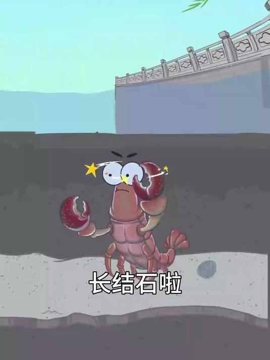龙虾也会得结石