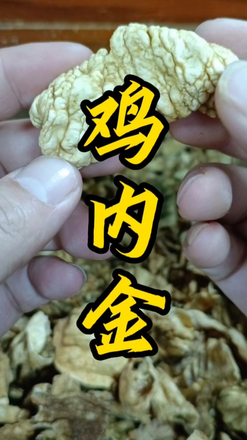 鸡内金:化石胆,鸡的消化器官,健胃消食,涩精止遗。肾结石,胆结石,常用到它。