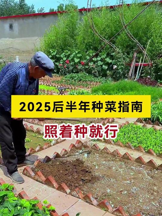 2025年后半年种菜指南，照着种就行