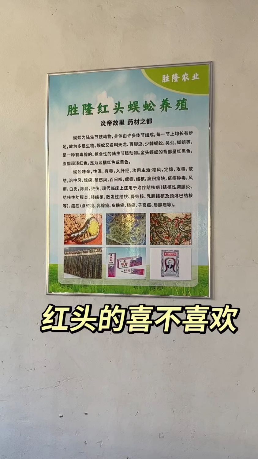 炎帝故里,红头蜈蚣,随州特产