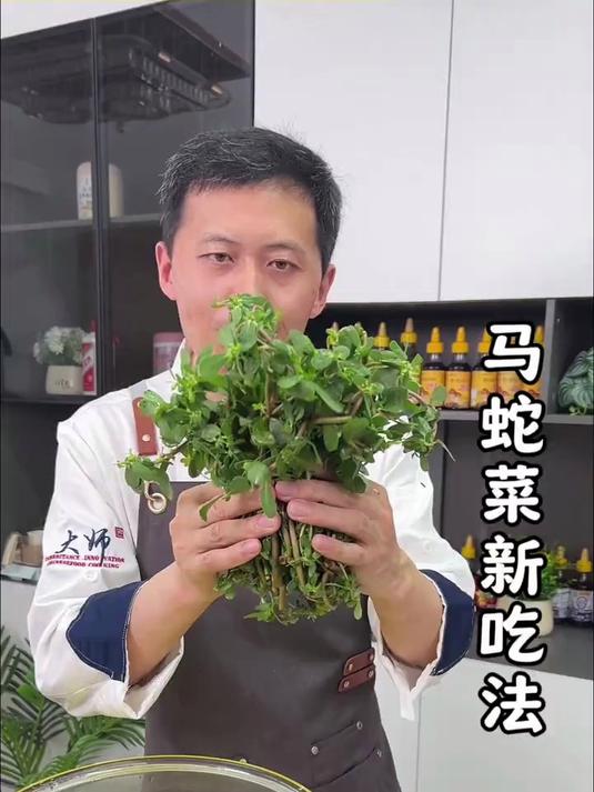 马蛇菜新吃法
