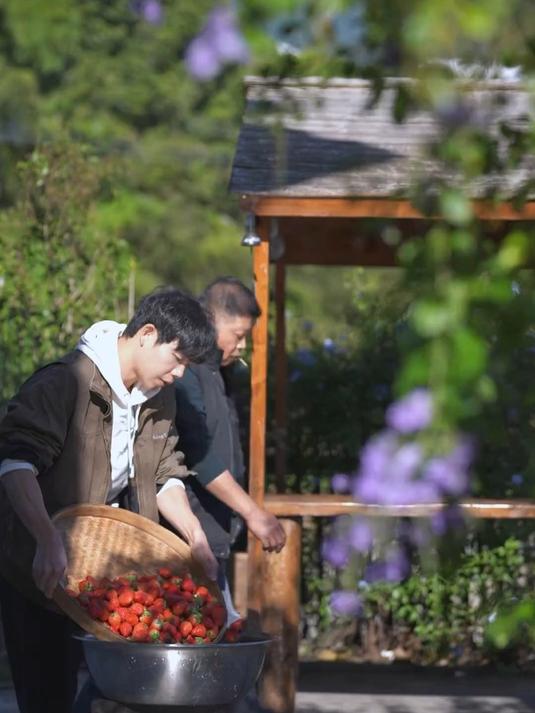 请不要忘记妈妈曾经也是个小女孩,给她亲手做个“草莓蛋糕”吧!