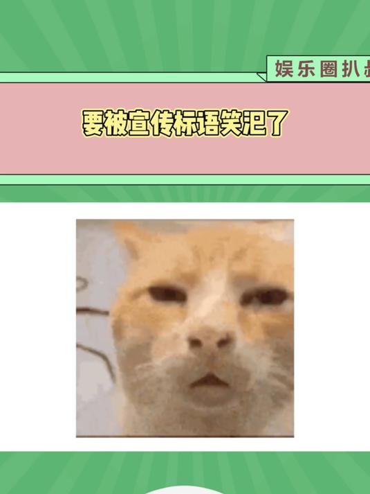 要被宣传标语笑汜了