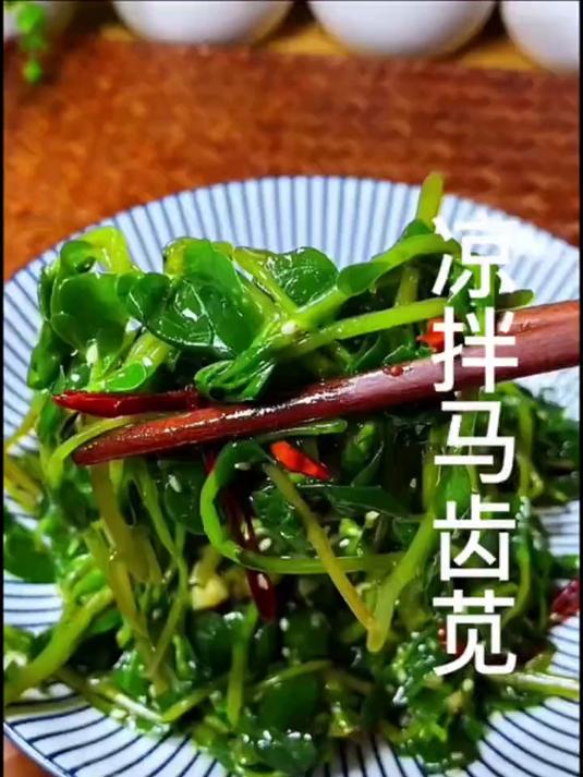 凉拌马齿苋