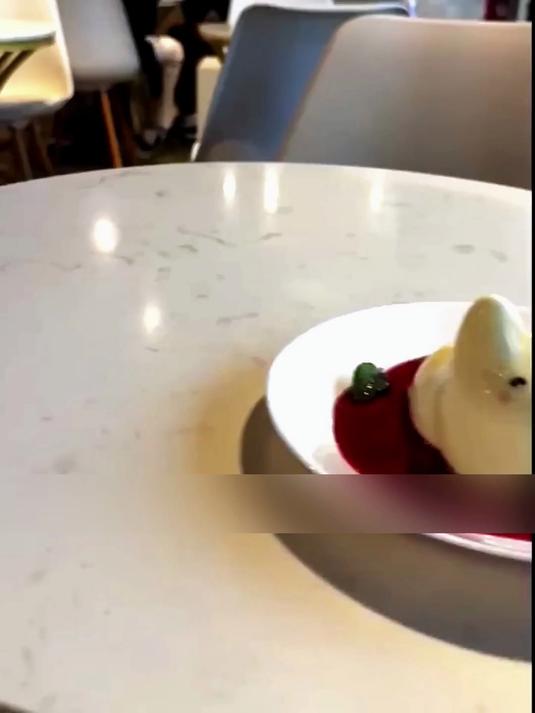 会跳舞的蛋糕?萌宠造型甜点大公开!