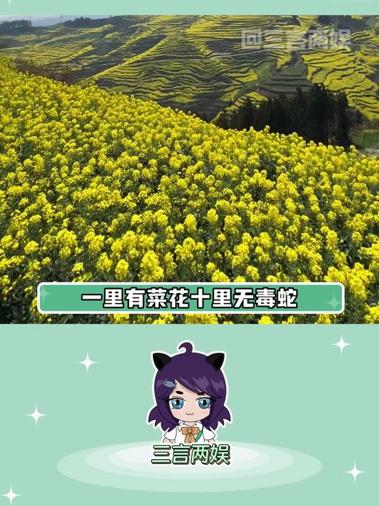 菜花蛇:只有懦夫才用毒,真蛇王只用力量