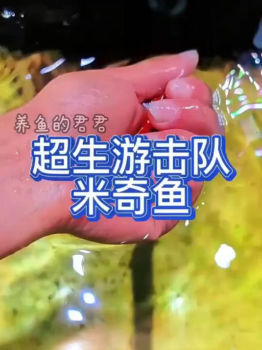 这米奇鱼也太能生啦!