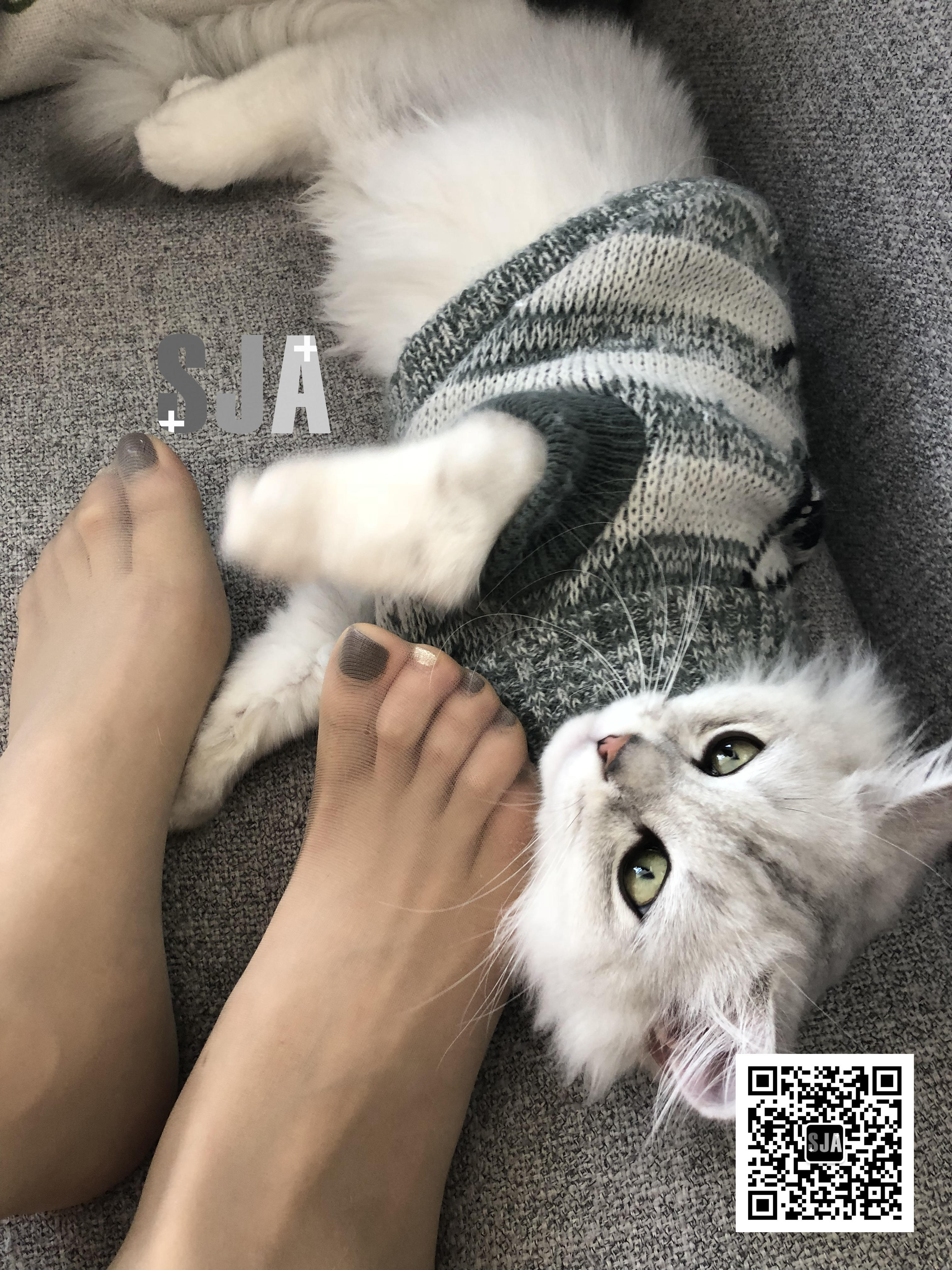 图片[2]-[SJA佳爷]闺蜜视角 NO.013 喵 [60P+81M]-六色网