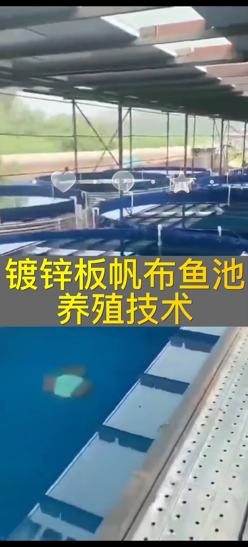 镀锌板帆布鱼池可以养殖哪些鱼呢?
