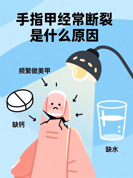手指甲经常断裂是什么原因