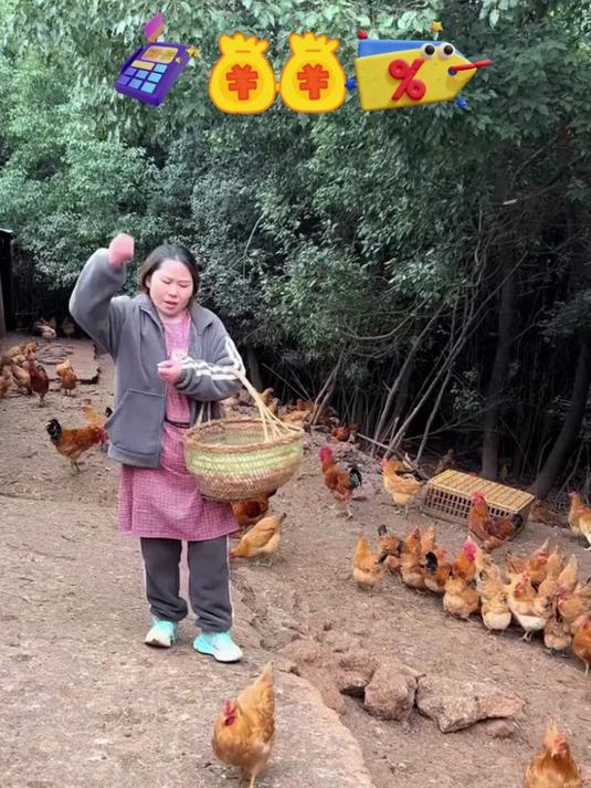 吃鸡蛋就要吃正宗散养的土鸡蛋