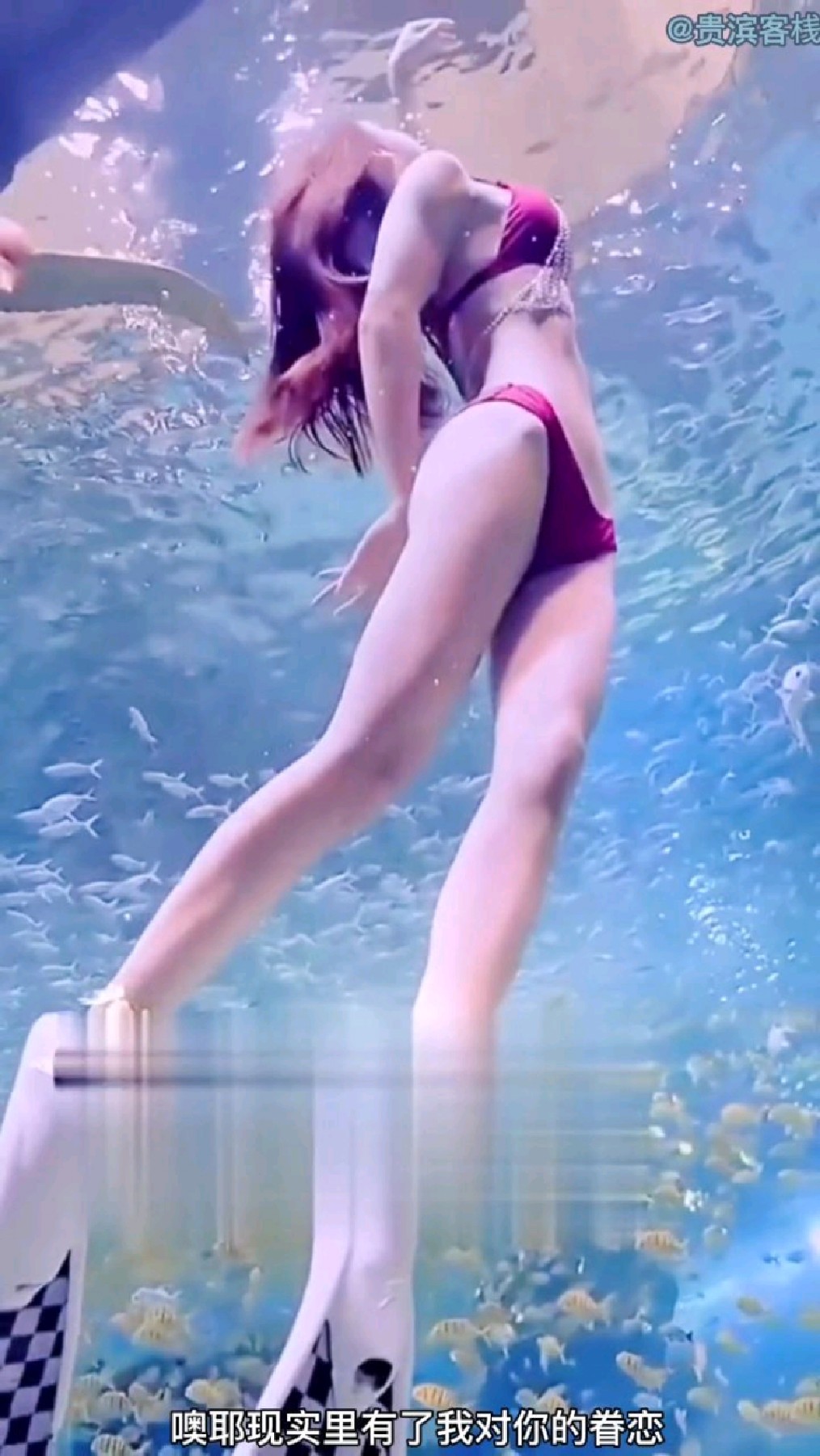 水族馆美女扮演美人鱼游泳,各有各精致!