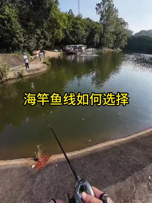 海竿线号对照表!根据目标鱼大小选线,新手秒变高手!