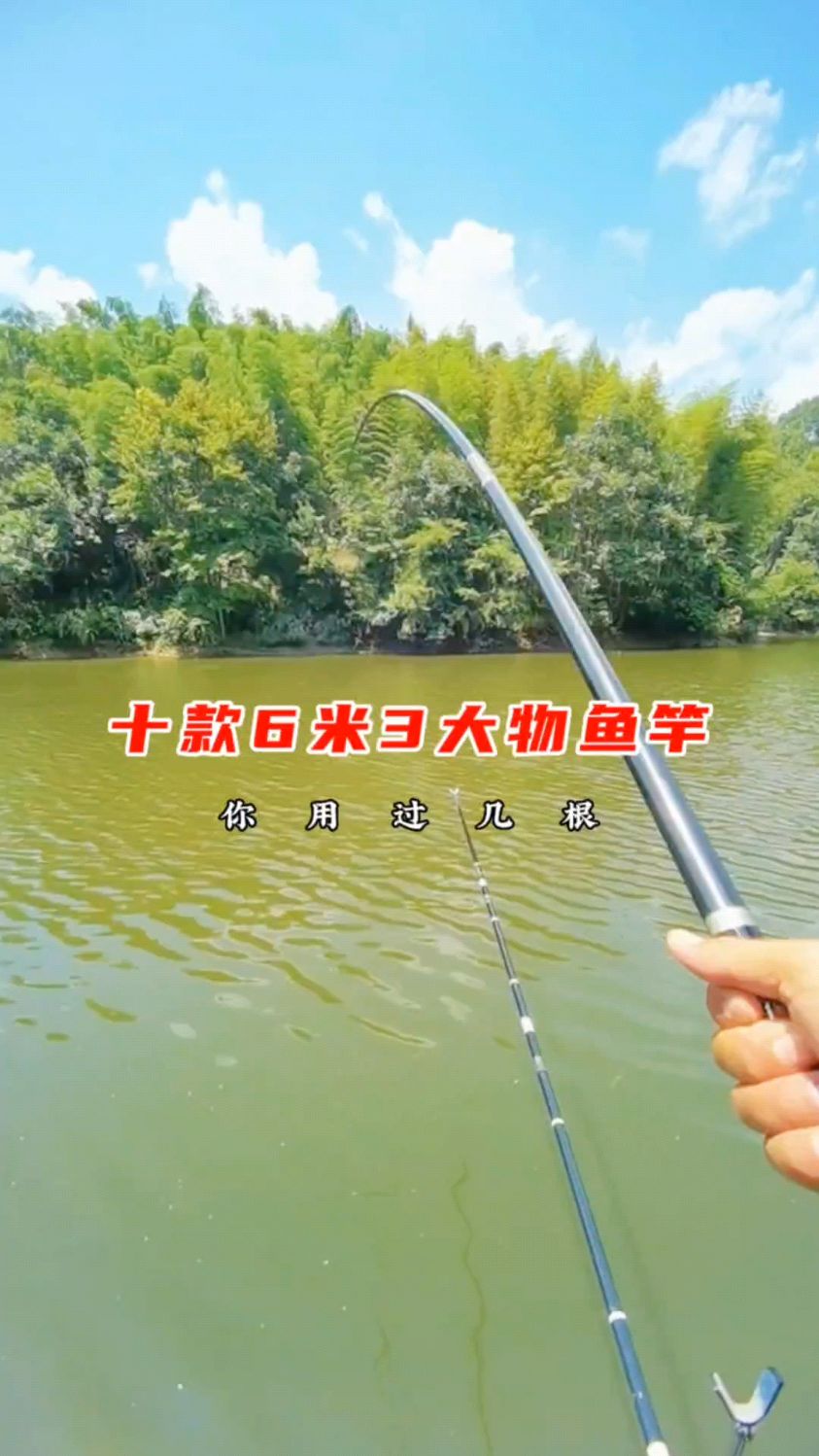 十款6米3大物鱼竿,钓大鱼你用过几根 #大物竿 #钓大物 #巨物竿 #鱼竿 #鱼竿排行榜
