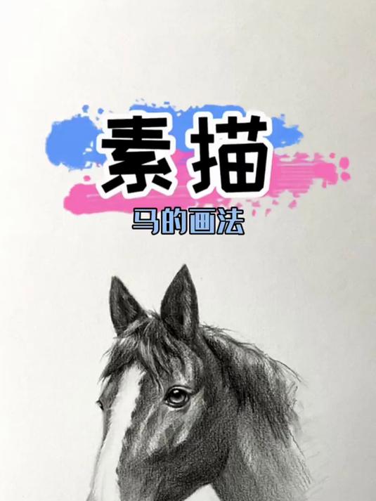 素描马的画法