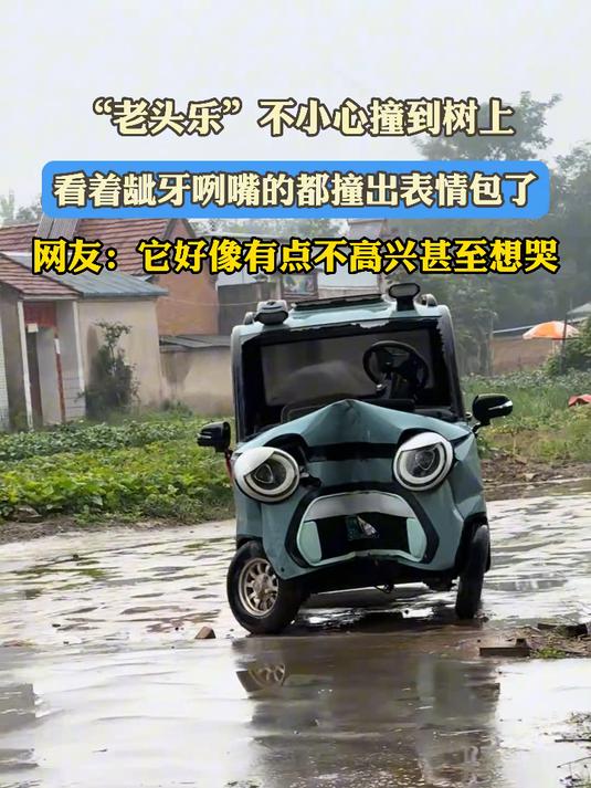 “老头乐”不小心撞到树上,看着龇牙咧嘴的都撞出表情包了