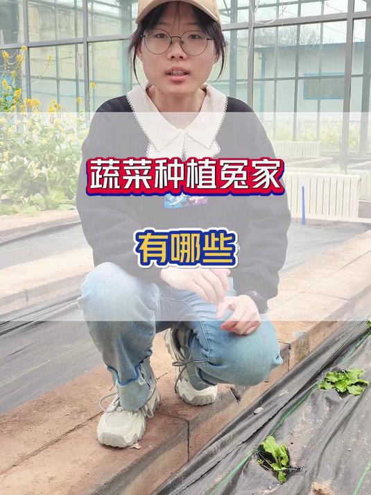 蔬菜种植冤家有哪些