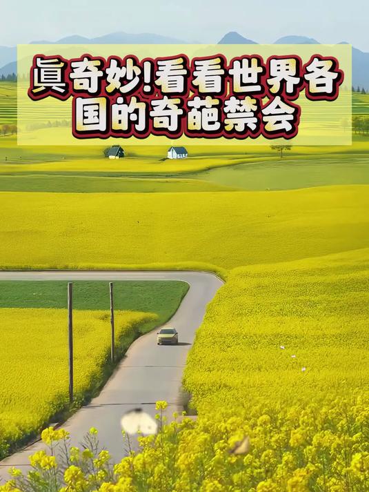 眞奇妙!看看世界各国的奇葩禁会