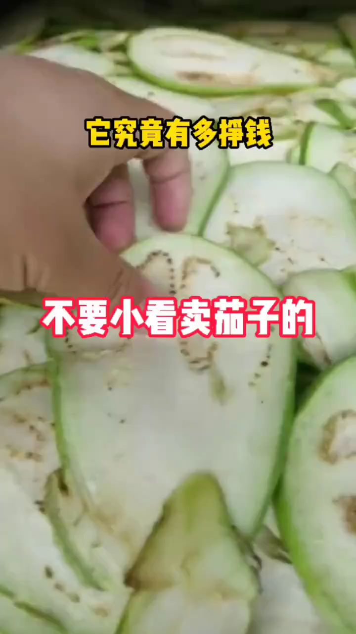 茄子烘干机,茄子干烘干机,蔬菜烘干机