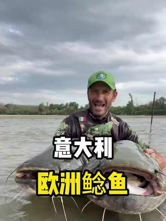 当地人钓了一条巨大的鱼，这种鱼叫欧洲鲶鱼