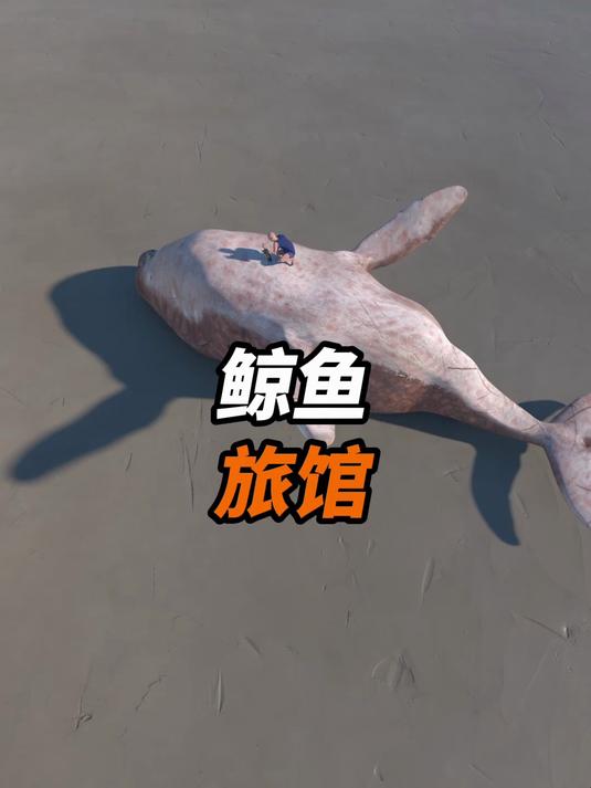 鲸鱼旅馆