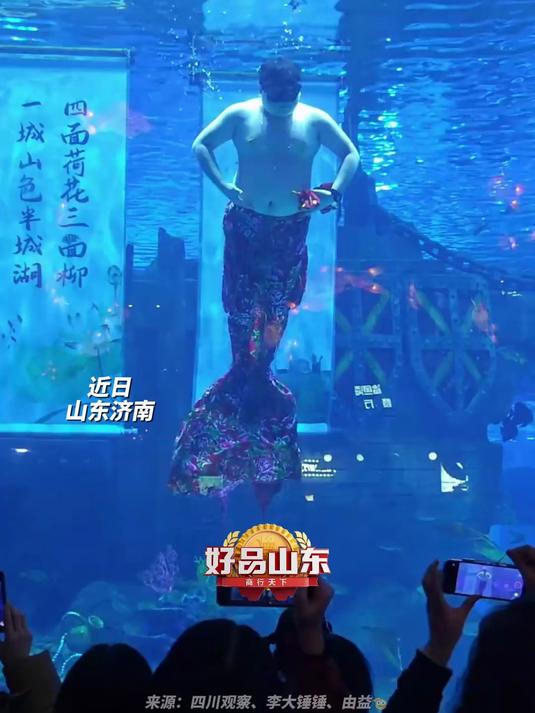 济南景区水族馆上新男版美人鱼 独特大花袄鱼尾吸引游客驻足