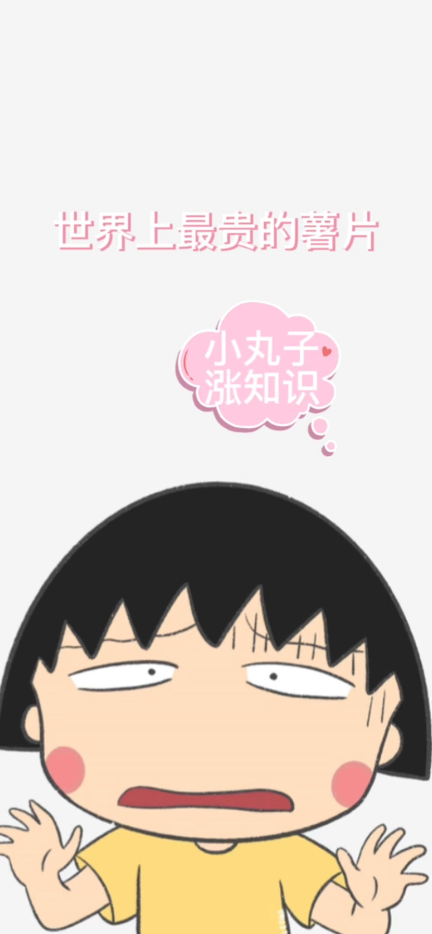 世界上最贵的薯片