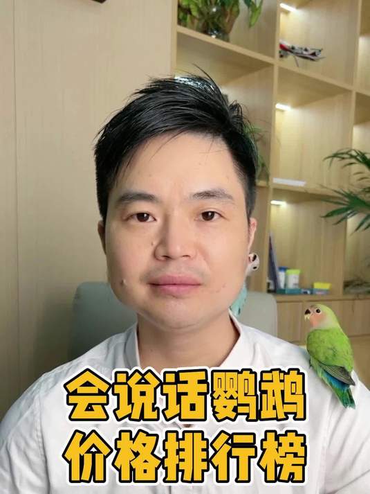 鹦鹉身价大揭秘!