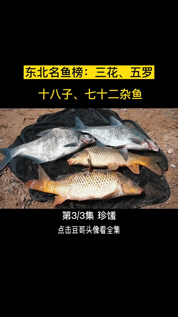 东北三花,五罗,十八子,点赞+关注