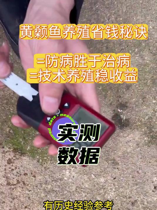 黄颡鱼养殖省钱秘诀:防病胜于治病,技术养殖稳收益