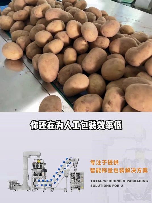 全自动土豆网袋包装系统 蔬菜包装机