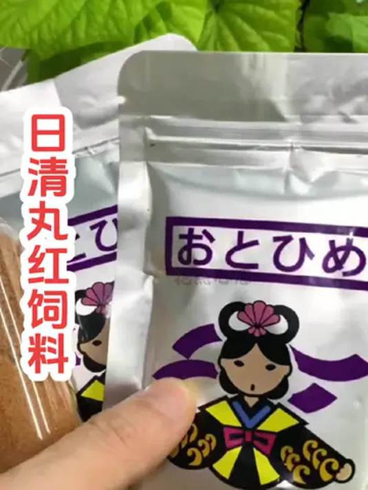 日清丸红饲料,养金鱼必备!营养足不浑水,鱼靓长得快