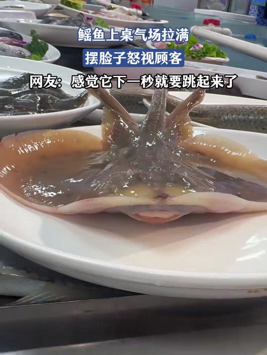 鳐鱼上桌气场拉满，摆脸子怒视顾客，网友：感觉它下一秒就要跳起来了#花满春城我代言#