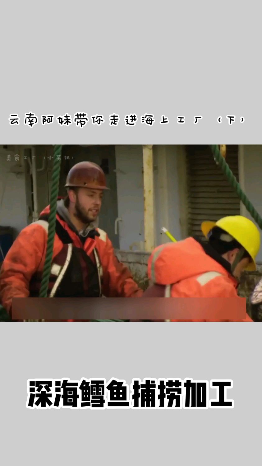 云南阿妹带你揭秘海上鳕鱼加工制作过程看完惊掉下巴!