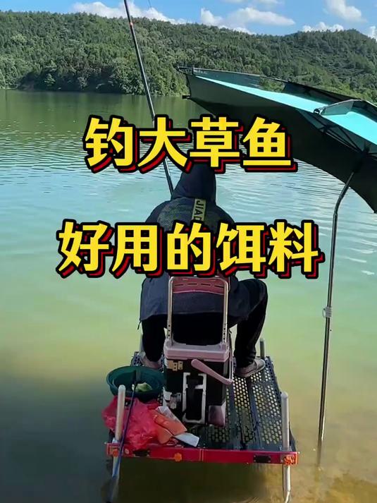 又到了钓草鱼的季节，你知道草鱼喜欢吃什么吗？#钓草鱼技巧##爆护饵料#