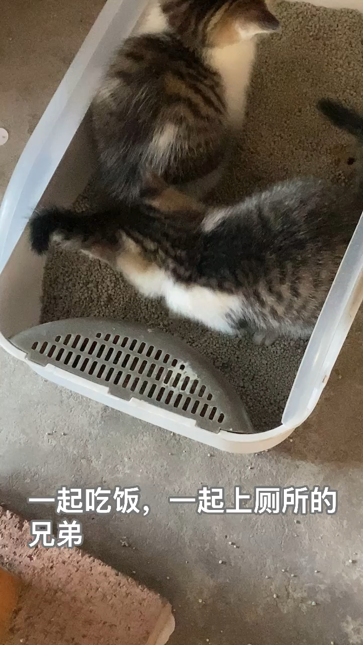 兄弟情?男人更懂这是什么情义