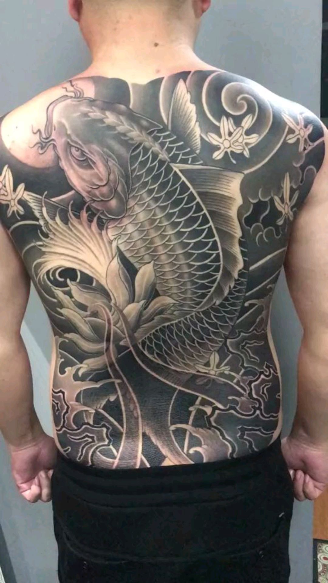 黑灰满背大鲤鱼