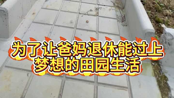 被老妈夸了三百次,庭院菜地干湿分离太香了