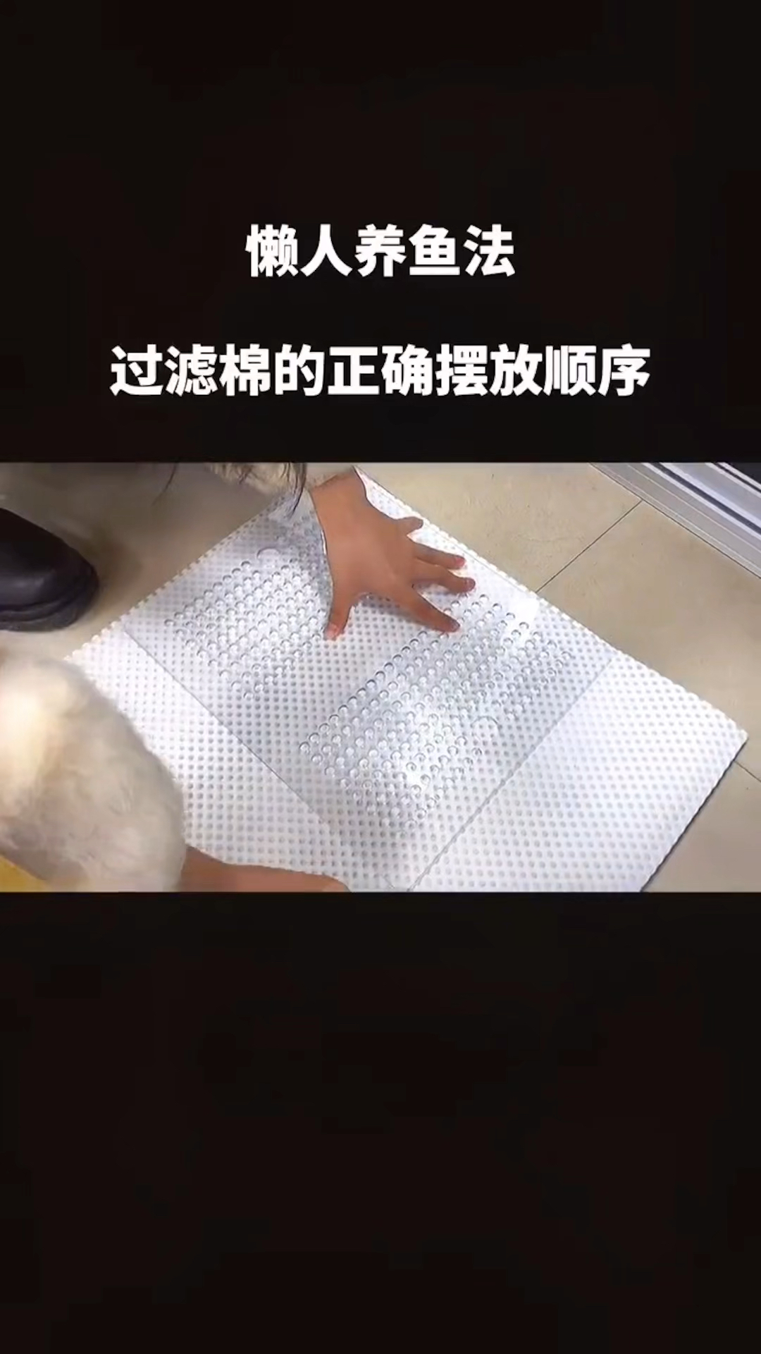 鱼缸过滤棉的正确摆放顺序,你清楚吗?