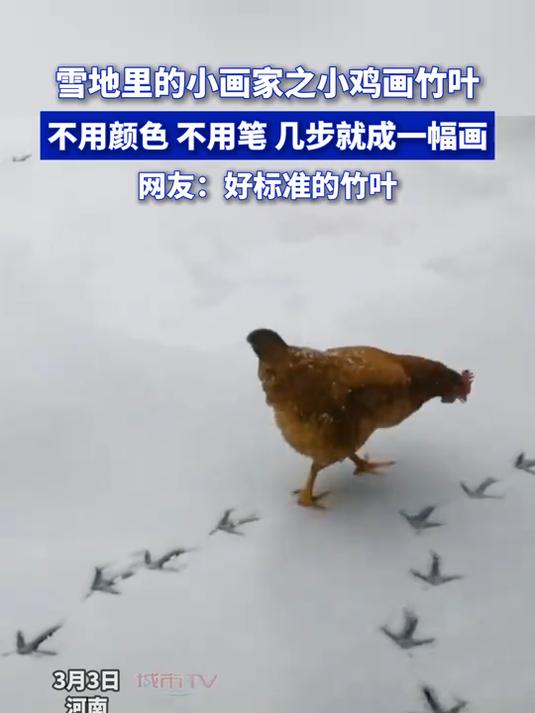 雪地里的小画家之小鸡画竹叶,不用颜色,不用笔,几步就成一幅画