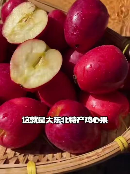 一年就这一季脆甜可口的鸡心果熟了,核小肉厚