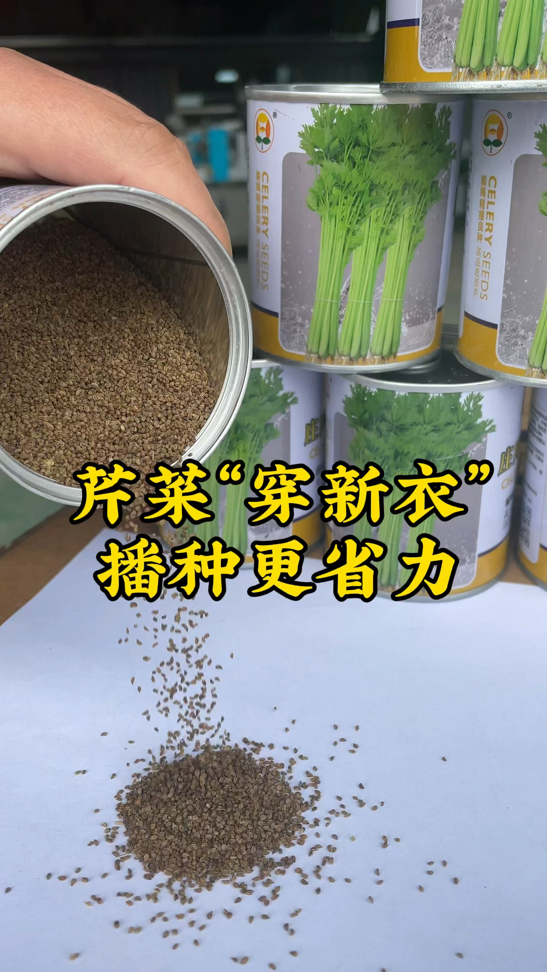 芹菜穿新衣,播种更省力#播种机#芹菜丸粒#丸粒机