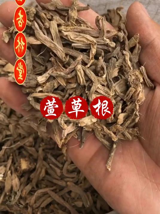 萱草根的用途和选择,欢迎家人们了解