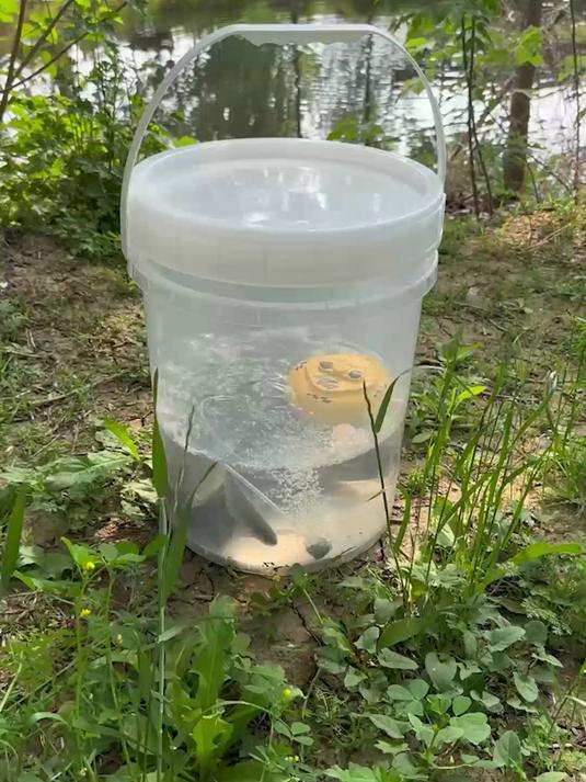 便携浮水式增氧泵随手丢鱼桶,轻松解决垂钓活鱼缺氧难题#增氧机##钓鱼增氧泵##增氧泵##钓