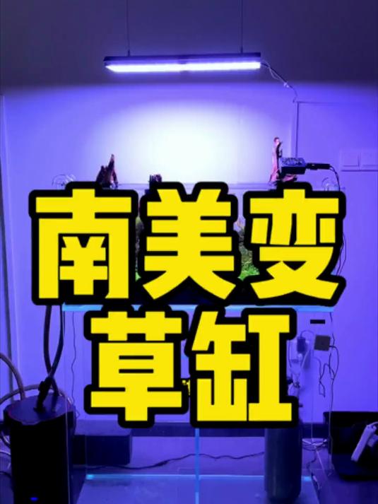 南美缸变成水草缸啊