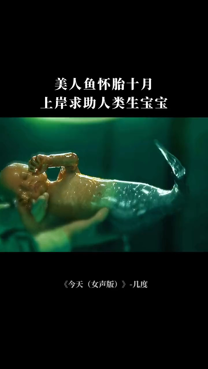 美人鱼怀胎十月,上岸求助人类生宝宝