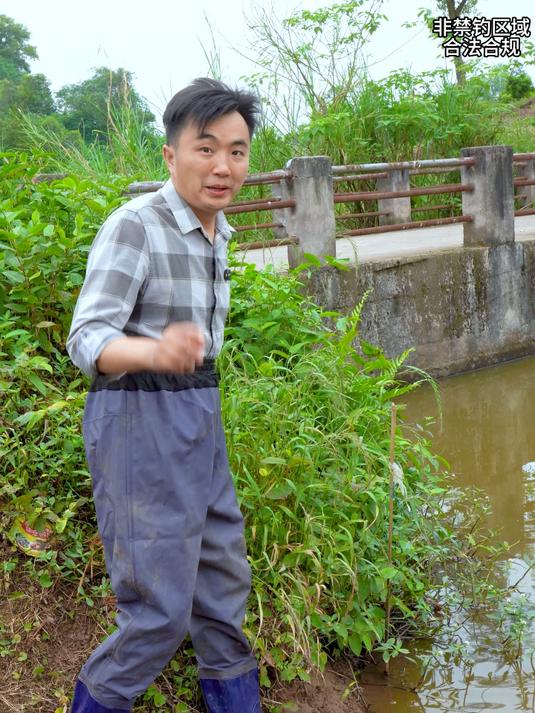 徐三娃河沟安天然小龙虾,收获20多斤去摆摊,看现在市场价多少