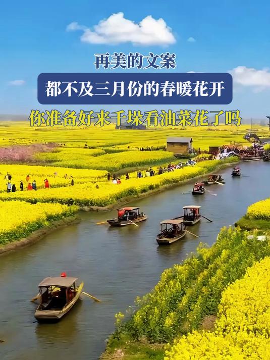 #花满春城我代言#再美的文案,都不及三月份的春暖花开,准备好来千垛看油菜花了吗